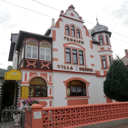 Pension Villa Broedel Бад-Бланкенбург Экстерьер фото